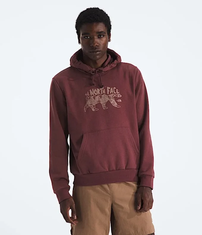Ανδρικό φούτερ με κουκούλα Evolution TNF™ Bear — Γραφικό