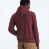 Ανδρικό φούτερ με κουκούλα Evolution TNF™ Bear — Γραφικό