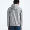 Ανδρικό φούτερ με κουκούλα Evolution TNF™ Bear — Γραφικό