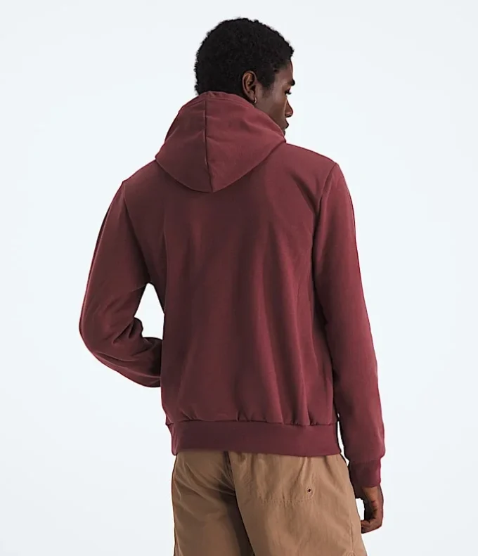 Ανδρικό φούτερ με κουκούλα Evolution TNF™ Bear — Γραφικό