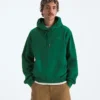 Ανδρικό φούτερ με κουκούλα TNF™ Essential Simple Dome Relaxed Hoodie
