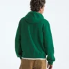Ανδρικό φούτερ με κουκούλα TNF™ Essential Simple Dome Relaxed Hoodie