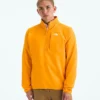 Ανδρικό φούτερ TNF™ Performance Fleece ½-Zip
