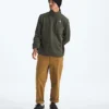 Ανδρικό φούτερ TNF™ Performance Fleece ½-Zip