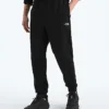 Ανδρικό παντελόνι TNF™ Performance Fleece SW