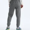 Ανδρικό παντελόνι TNF™ Performance Fleece SW