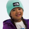 Παιδικό σκούφο TNF™ Box Logo Cuffed Beanie